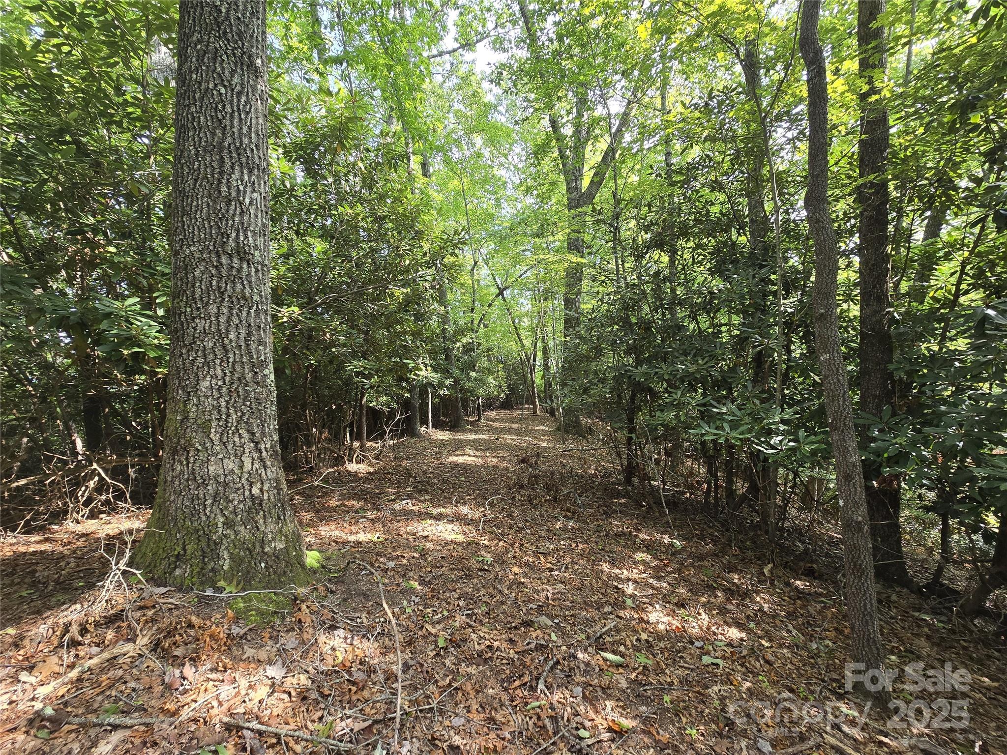 11 Reserve Road Pisgah Forest NC 28768