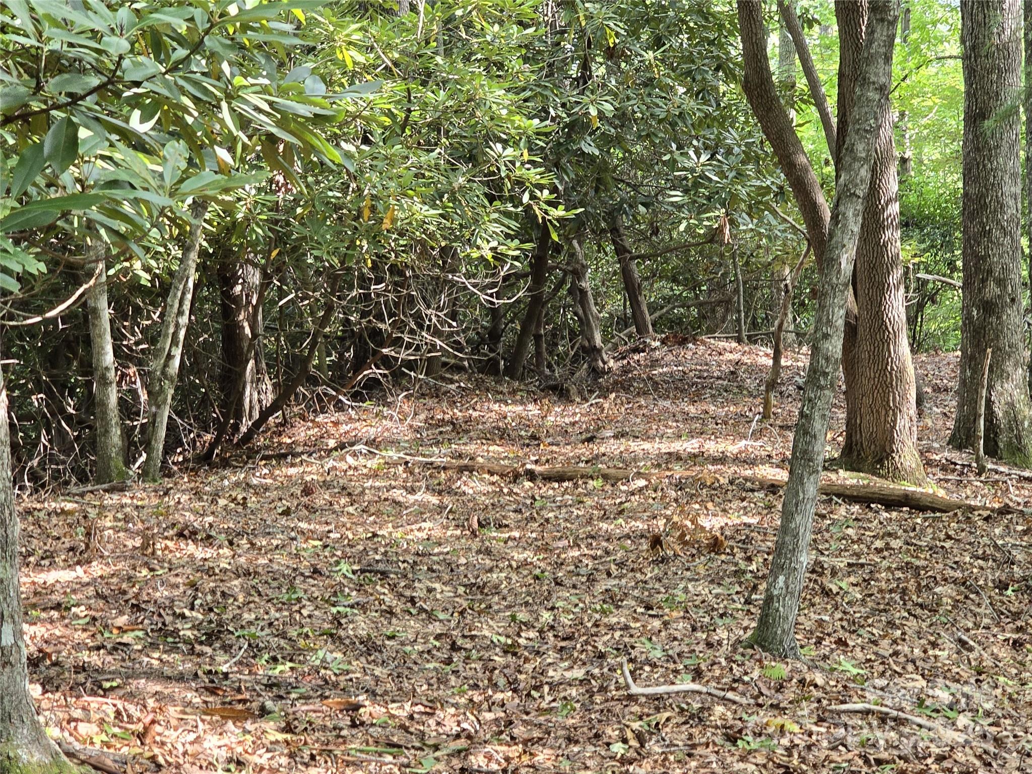 11 Reserve Road Pisgah Forest NC 28768