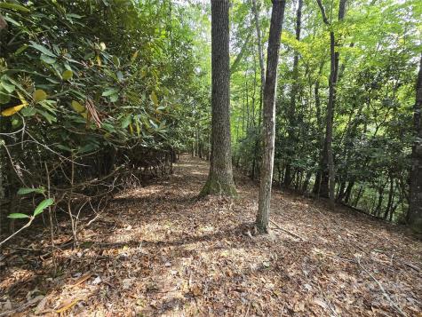 11 Reserve Road Pisgah Forest NC 28768