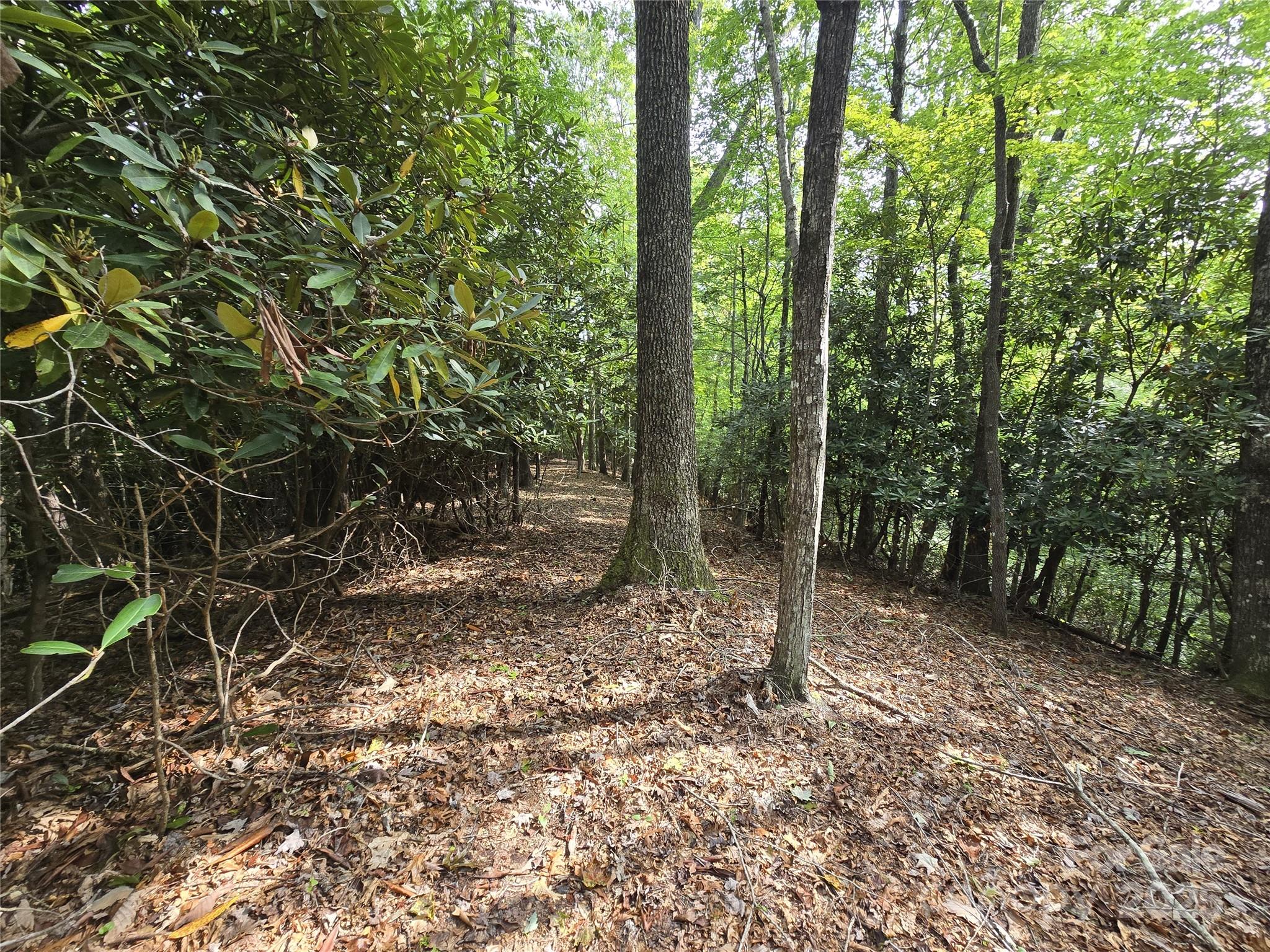 11 Reserve Road Pisgah Forest NC 28768