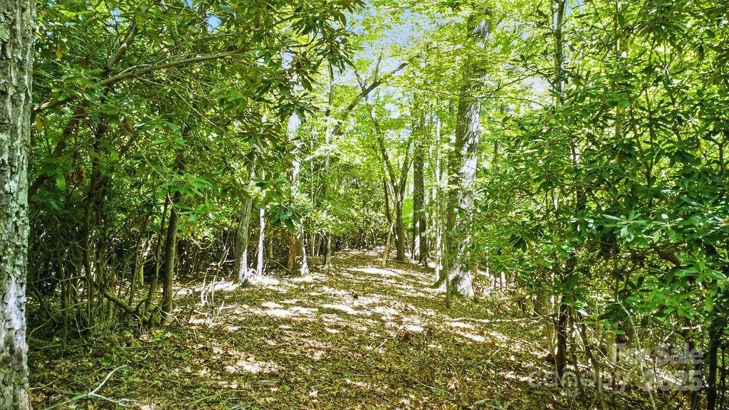 11 Reserve Road Pisgah Forest NC 28768