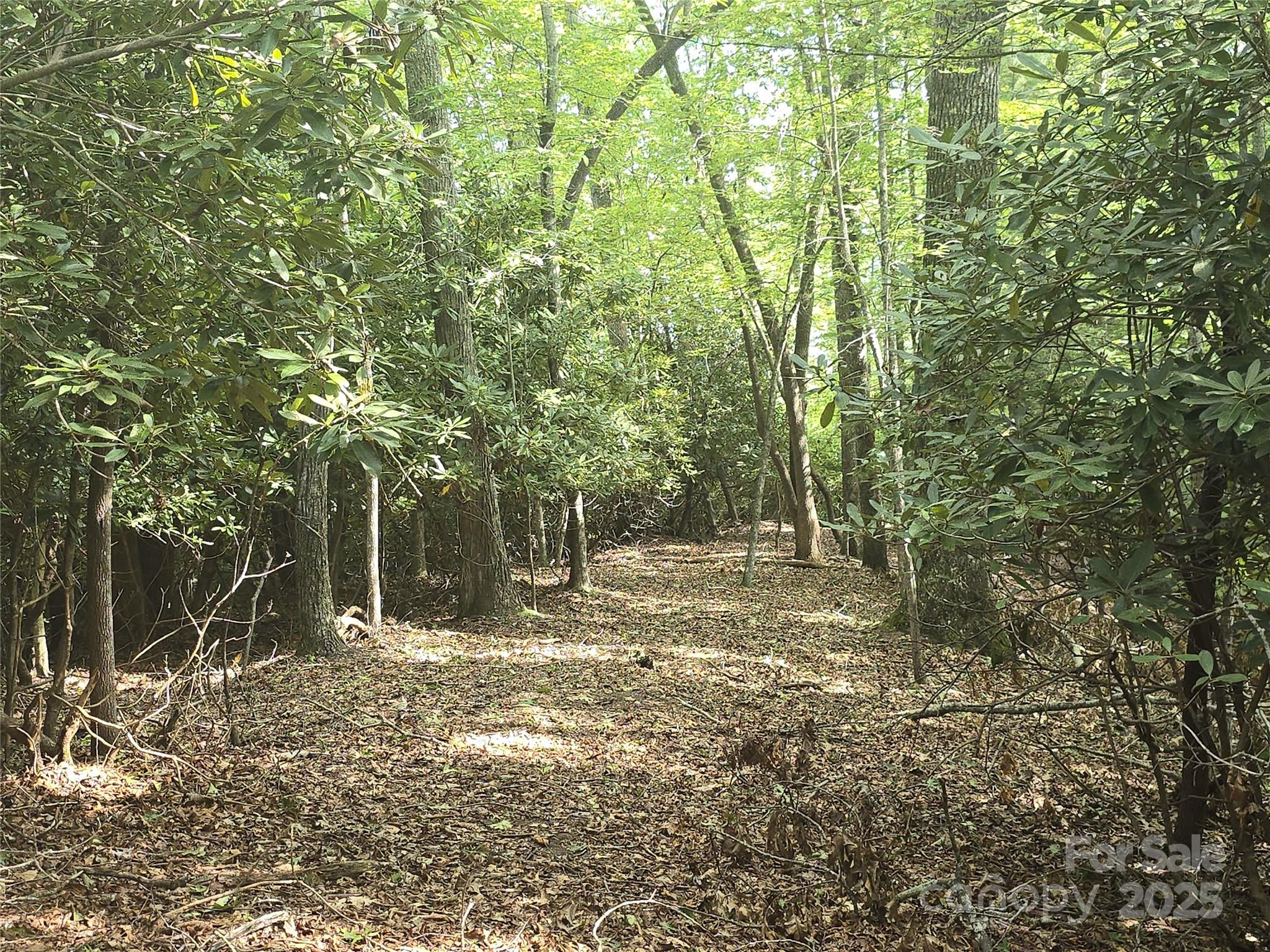 11 Reserve Road Pisgah Forest NC 28768