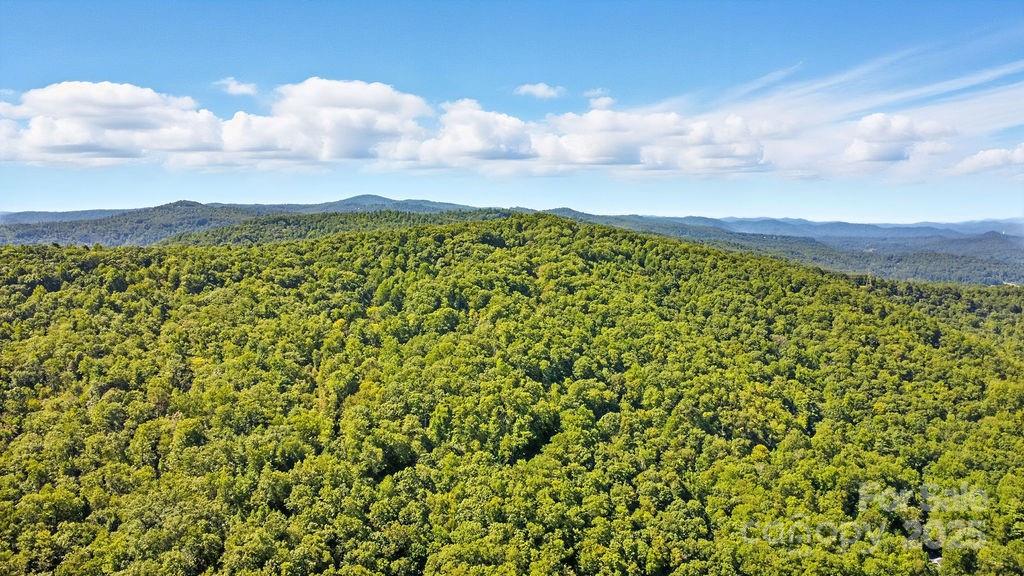 11 Reserve Road Pisgah Forest NC 28768