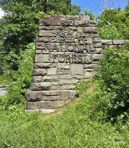 11 Reserve Road Pisgah Forest NC 28768