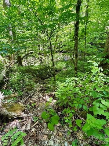Tbd Highway 107 N Glenville NC 28736