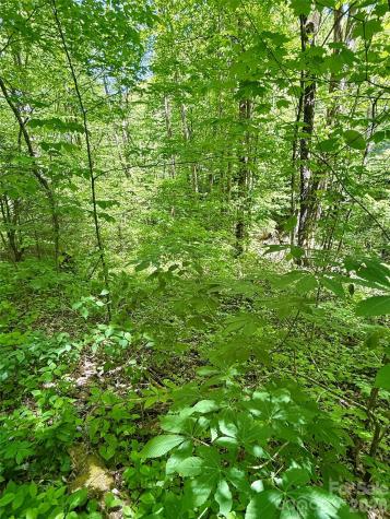 TBD Highway 107 N Glenville NC 28736