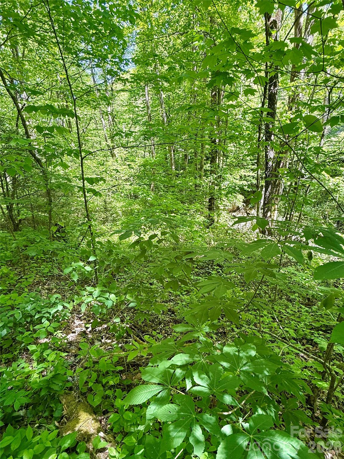 Tbd Highway 107 N Glenville NC 28736