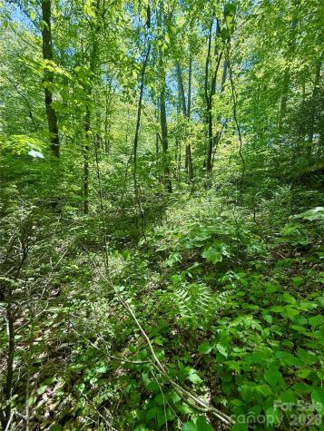 TBD Highway 107 N Glenville NC 28736