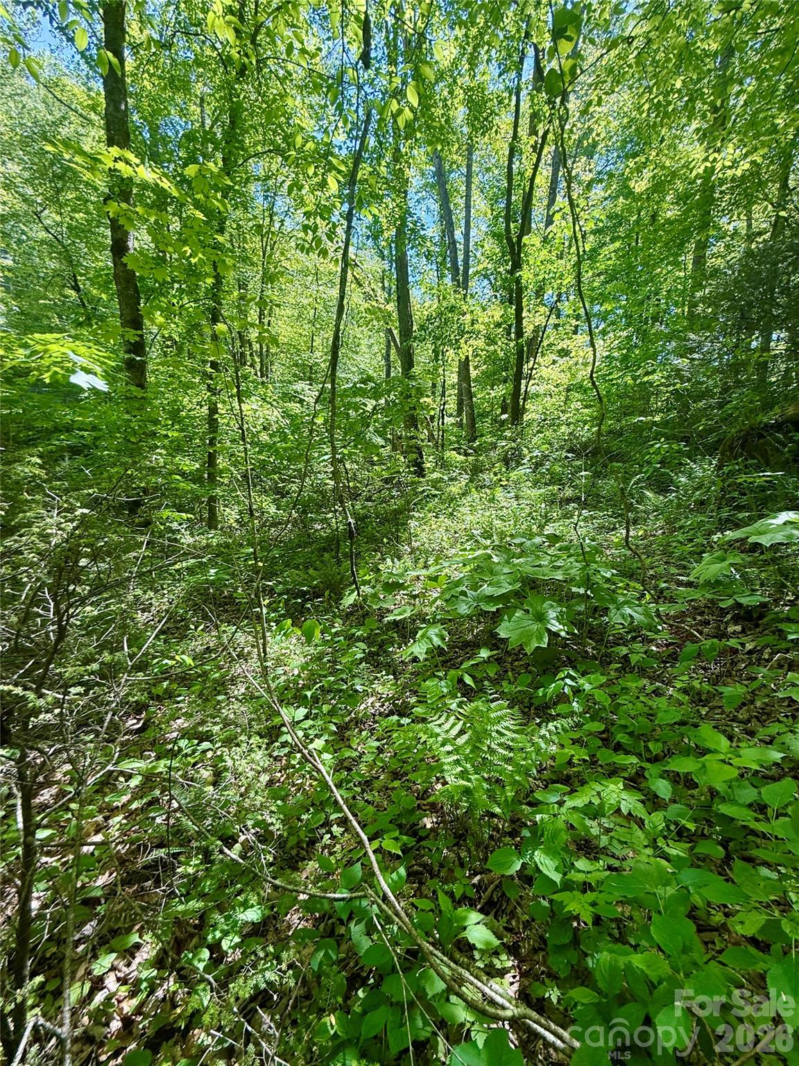 Tbd Highway 107 N Glenville NC 28736