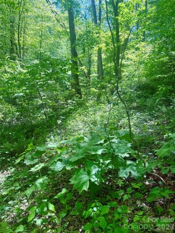 Tbd Highway 107 N Glenville NC 28736