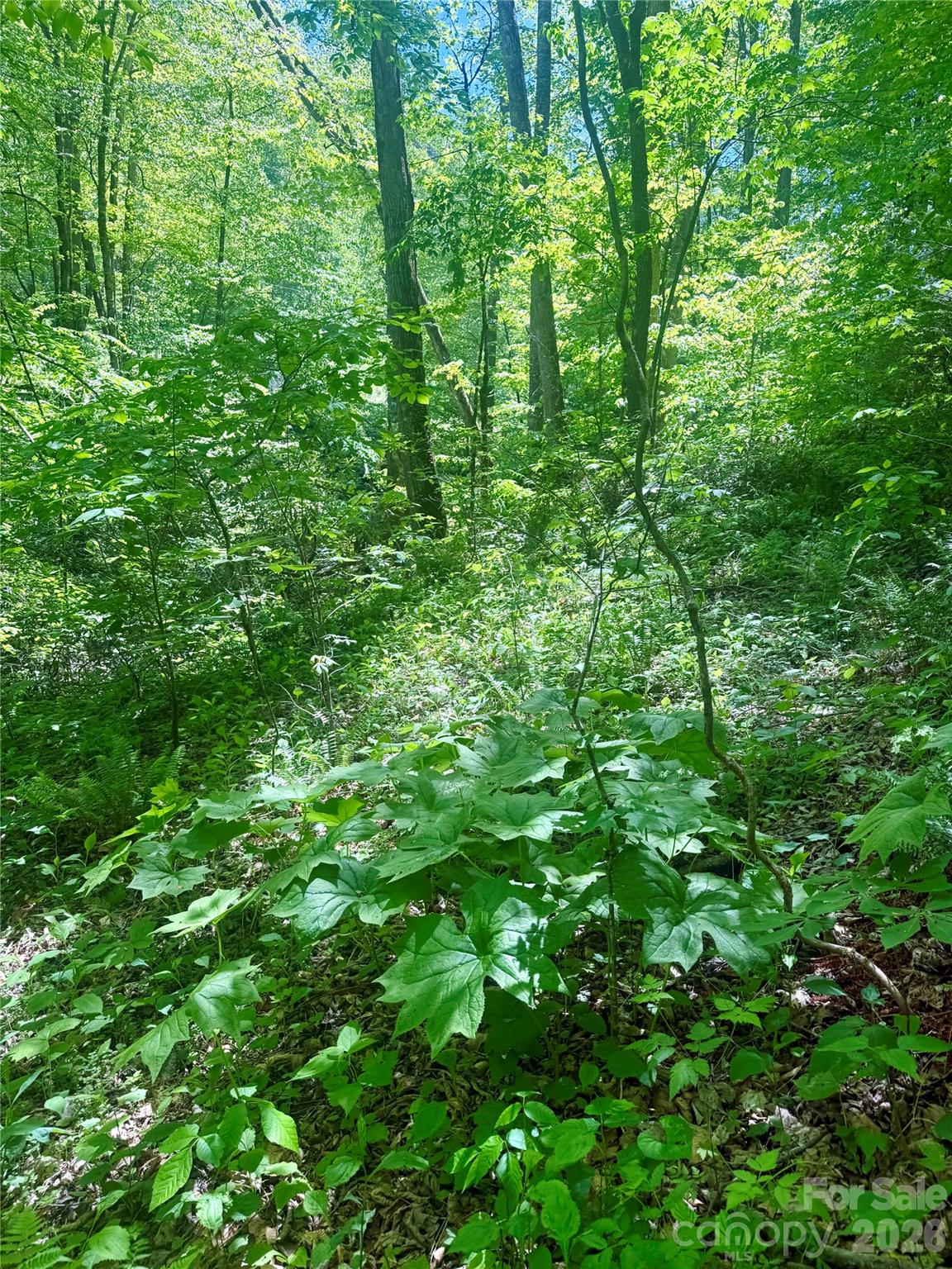 Tbd Highway 107 N Glenville NC 28736