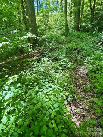 Tbd Highway 107 N Glenville NC 28736