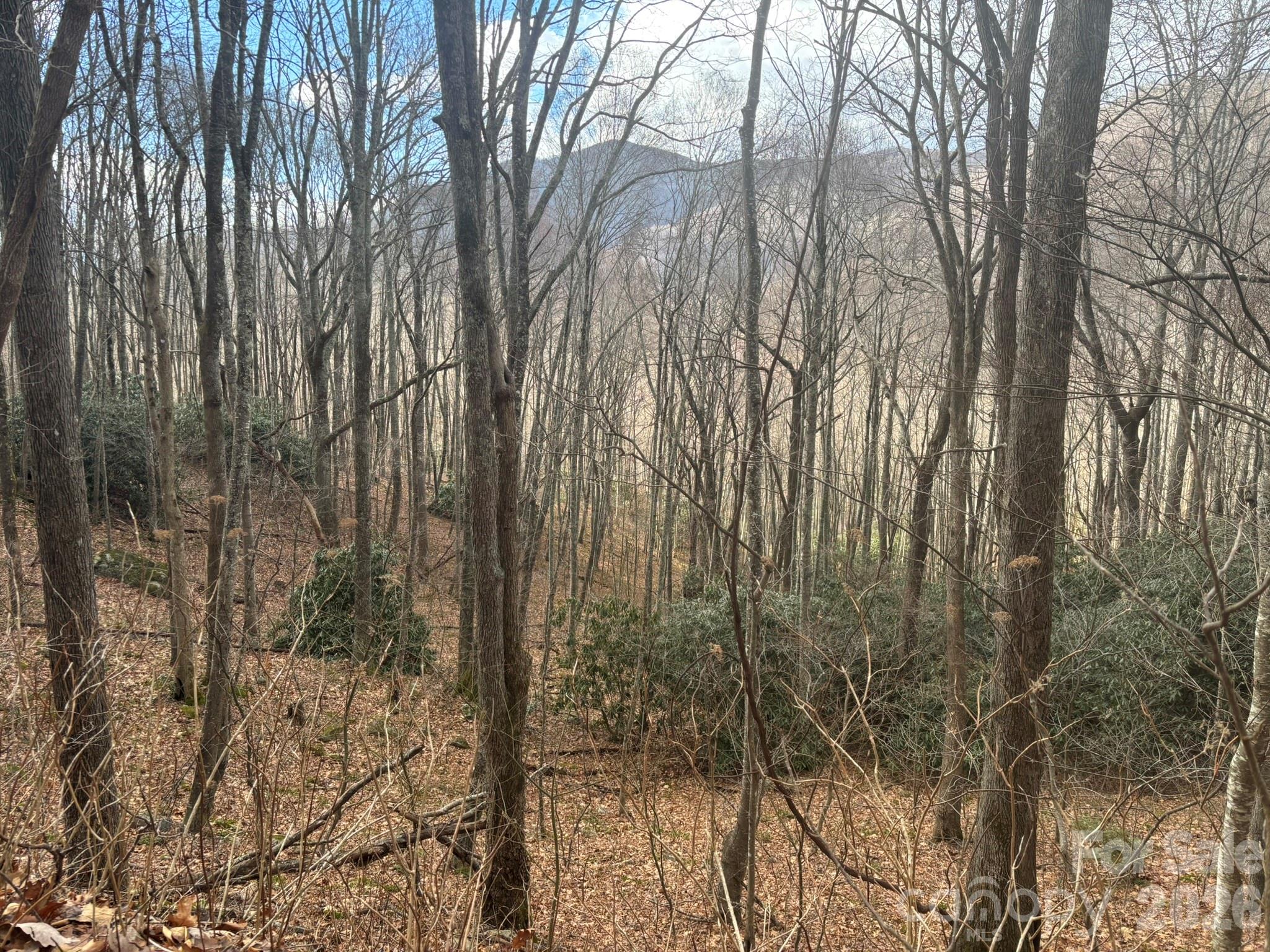68 Grouse Road Clyde NC 28721