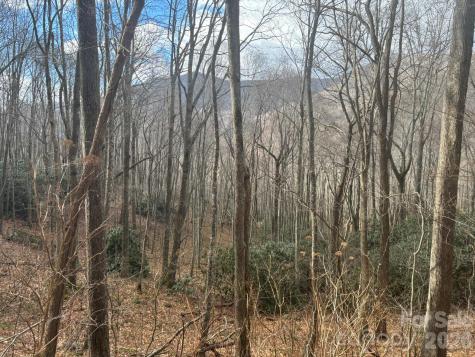 68 Grouse Road Clyde NC 28721