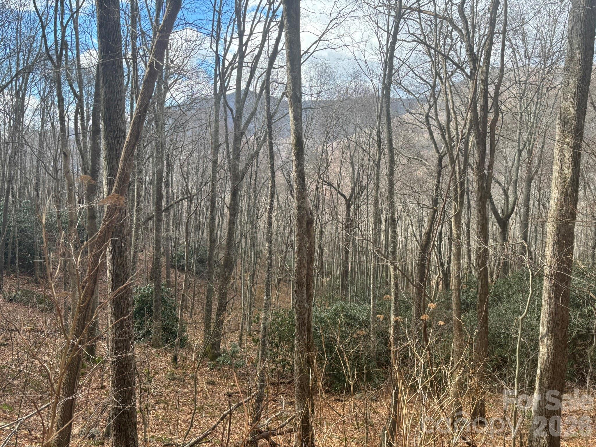 68 Grouse Road Clyde NC 28721