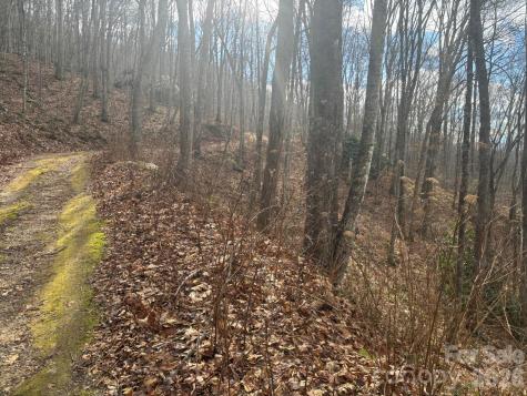 68 Grouse Road Clyde NC 28721