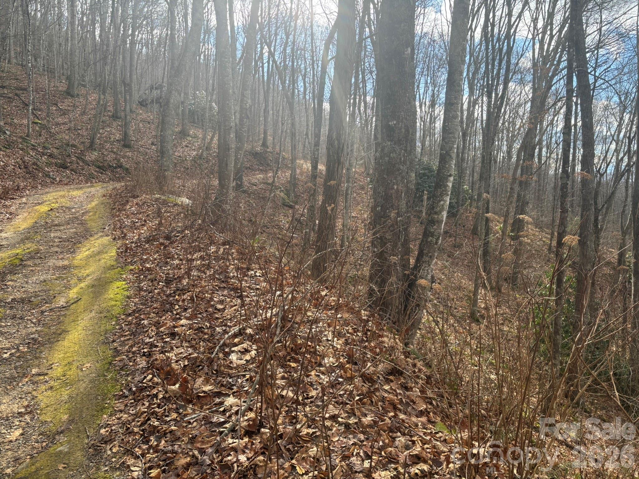 68 Grouse Road Clyde NC 28721