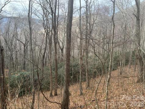 68 Grouse Road Clyde NC 28721