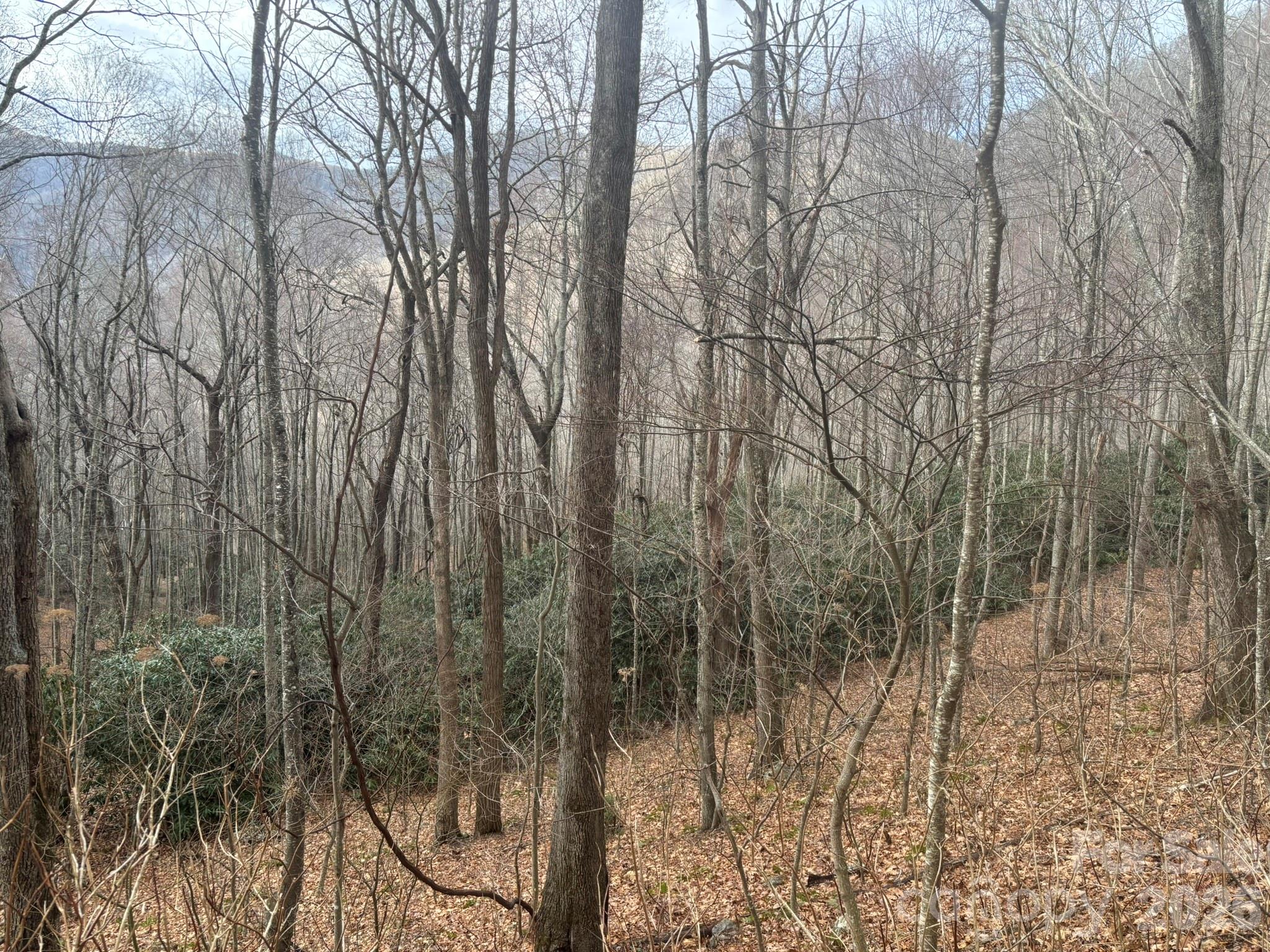 68 Grouse Road Clyde NC 28721