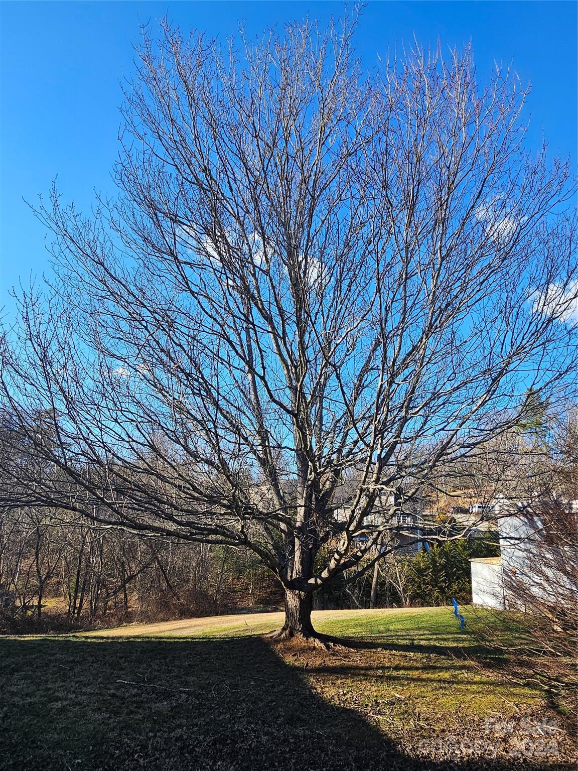 96 Reems Creek Road Weaverville NC 28787
