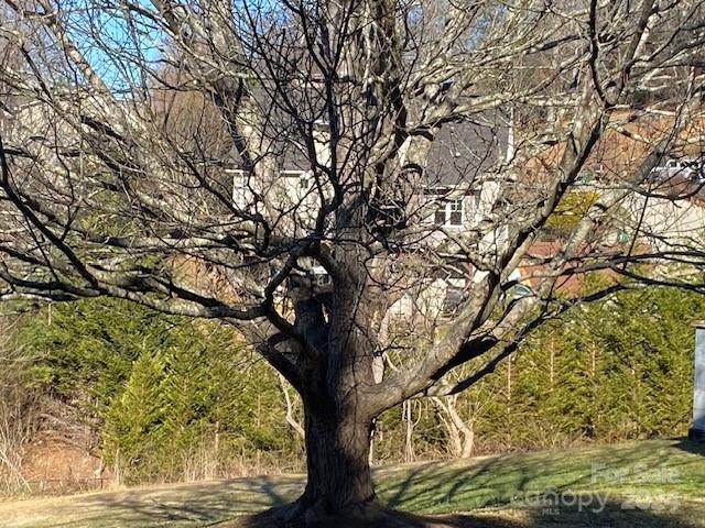 96 Reems Creek Road Weaverville NC 28787
