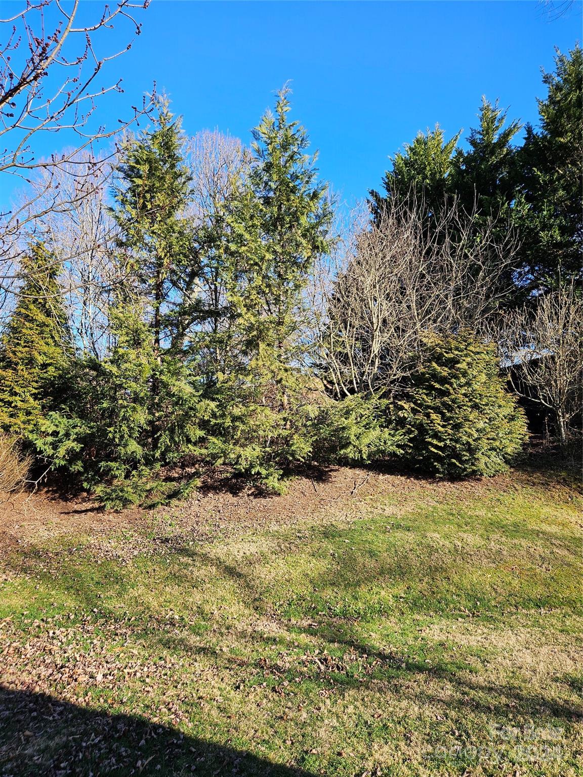 96 Reems Creek Road Weaverville NC 28787
