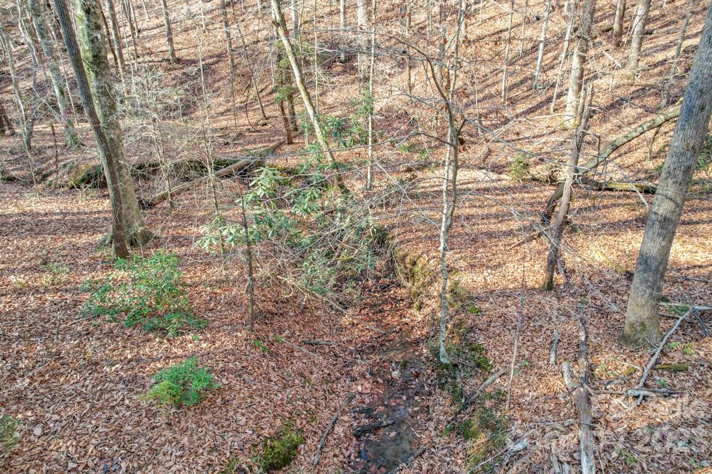Tbd Larkhaven Drive Nebo NC 28761