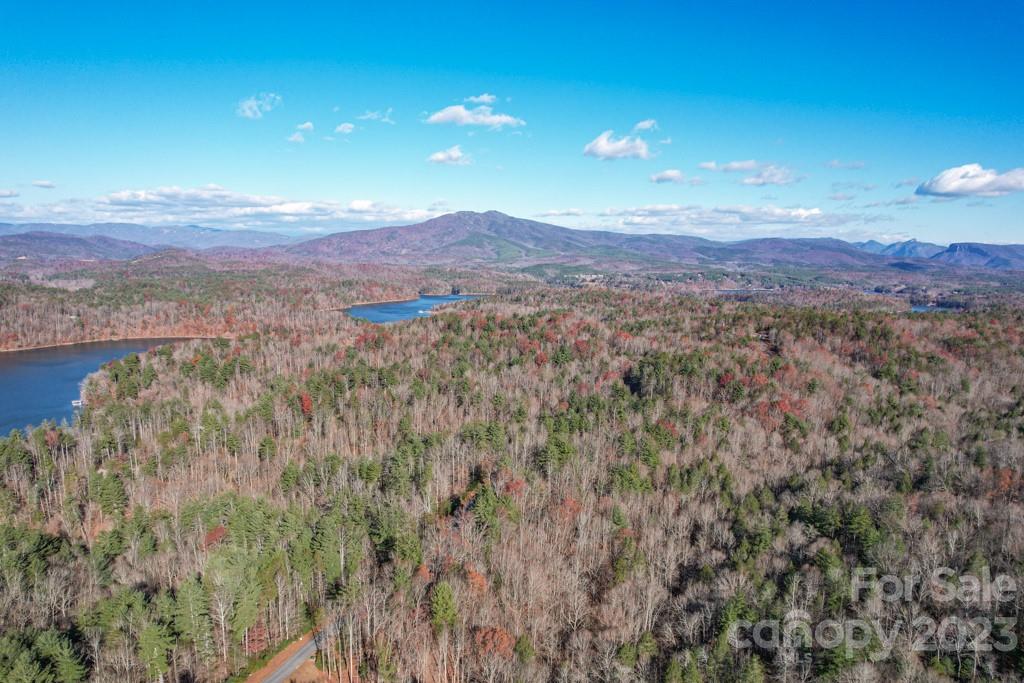 Tbd Larkhaven Drive Nebo NC 28761