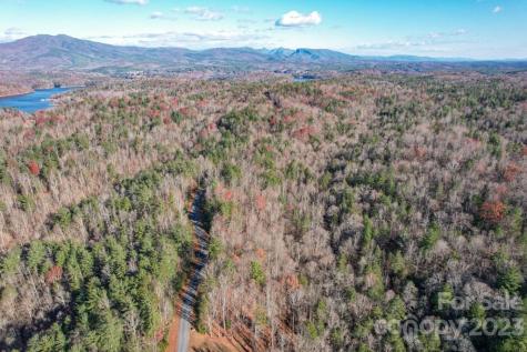 Tbd Larkhaven Drive Nebo NC 28761