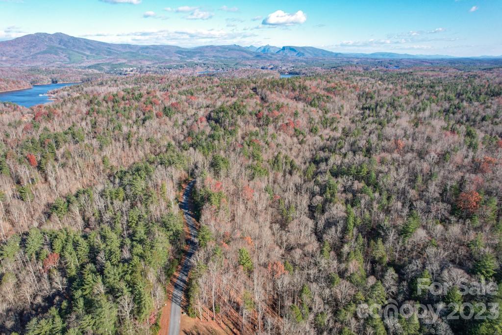 Tbd Larkhaven Drive Nebo NC 28761