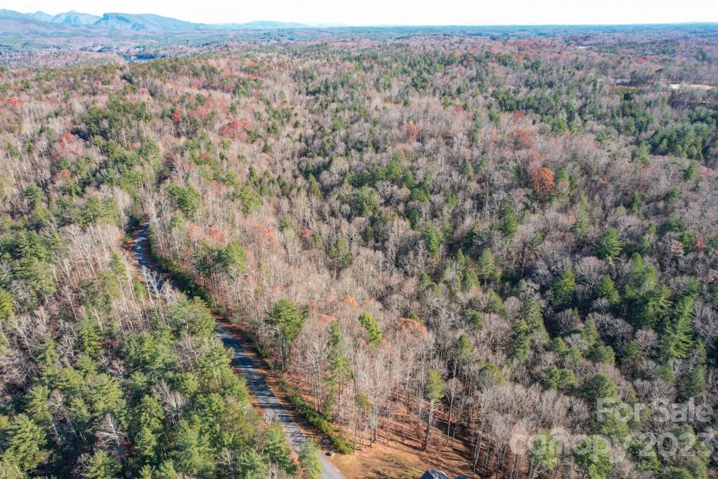 Tbd Larkhaven Drive Nebo NC 28761