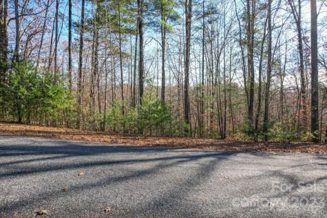 Tbd Larkhaven Drive Nebo NC 28761