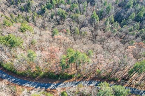 Tbd Larkhaven Drive Nebo NC 28761