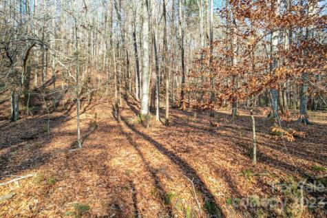 Tbd Larkhaven Drive Nebo NC 28761