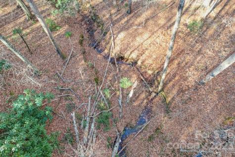 Tbd Larkhaven Drive Nebo NC 28761