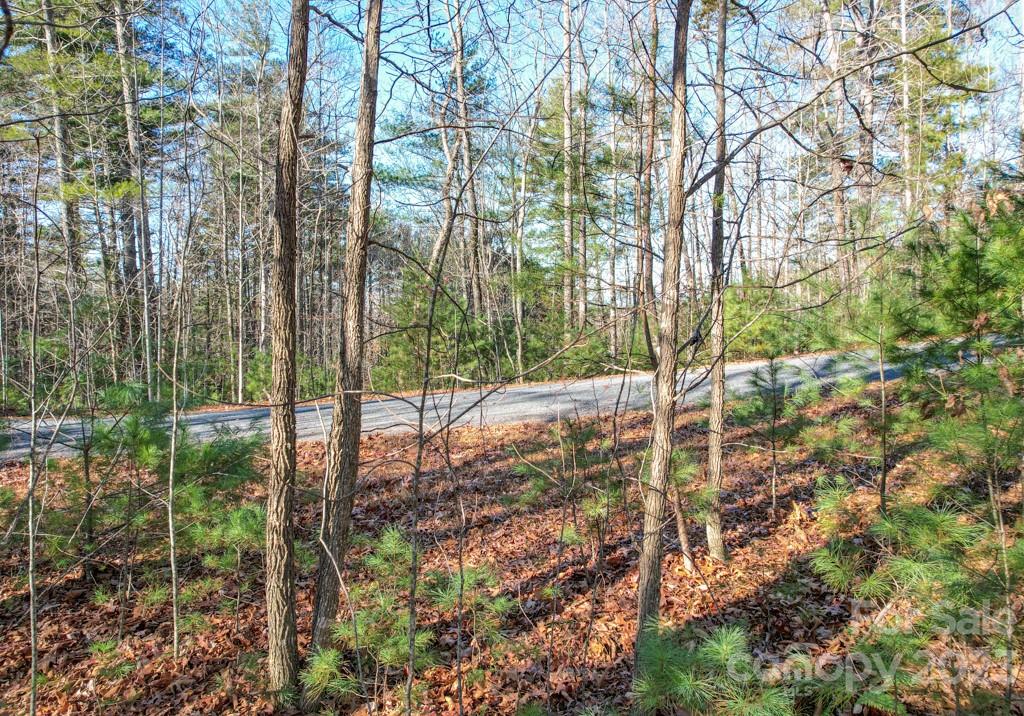 Tbd Larkhaven Drive Nebo NC 28761