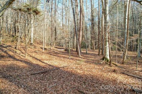 Tbd Larkhaven Drive Nebo NC 28761