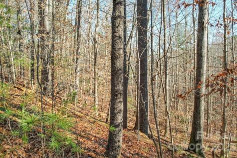 Tbd Larkhaven Drive Nebo NC 28761
