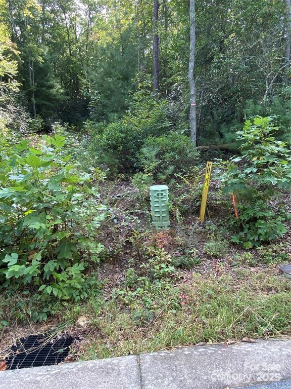 47 Crossings Circle Fairview NC 28730