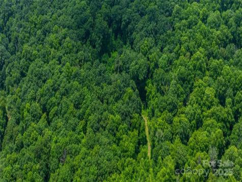 99999 Long Branch Road Swannanoa NC 28778