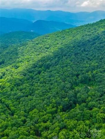 99999 Long Branch Road Swannanoa NC 28778