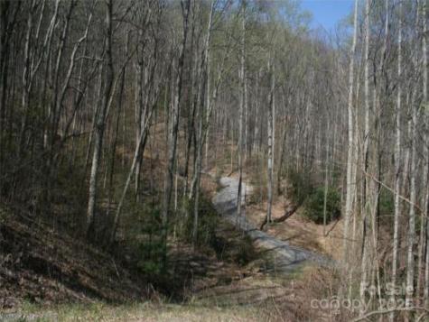 99999 Long Branch Road Swannanoa NC 28778