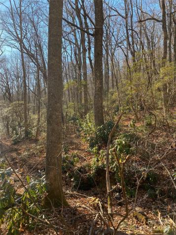 99999 Long Branch Road Swannanoa NC 28778