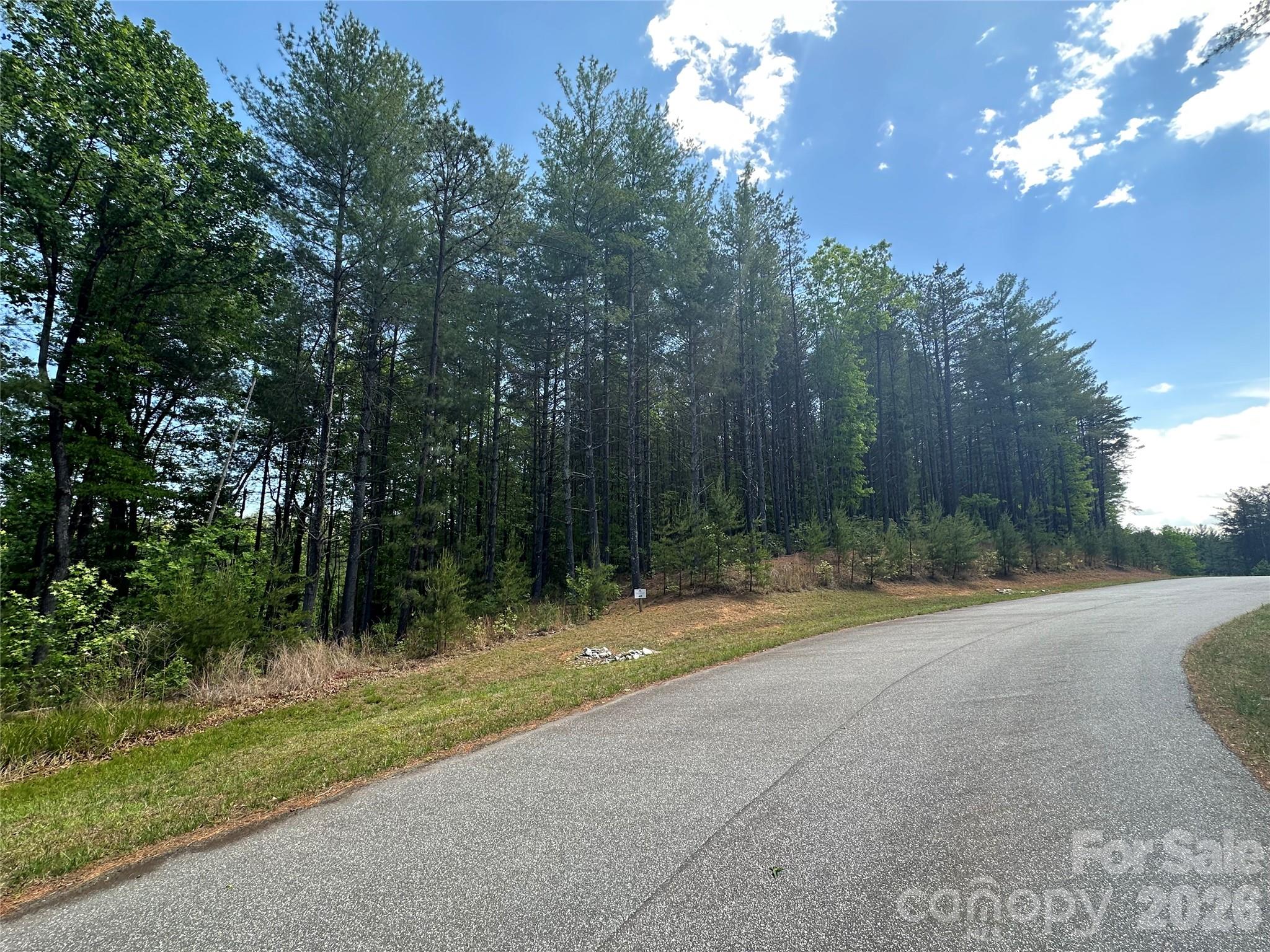 3227 Ella Marie Way Nebo NC 28761
