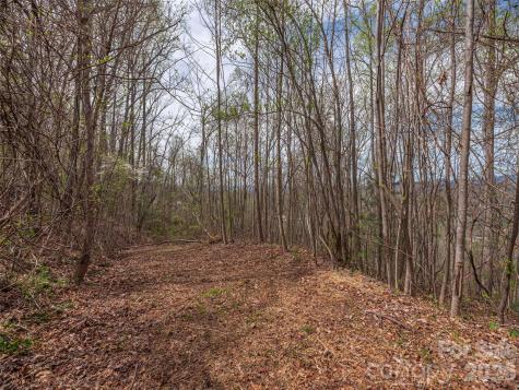 137 & 145 Cedar Mountain Road Asheville NC 28803