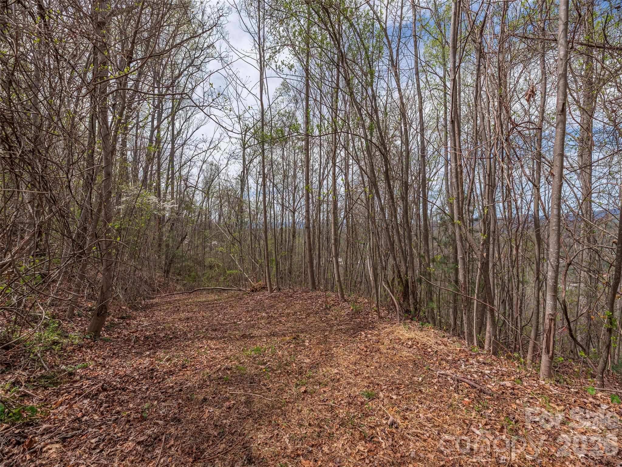 137 & 145 Cedar Mountain Road Asheville NC 28803