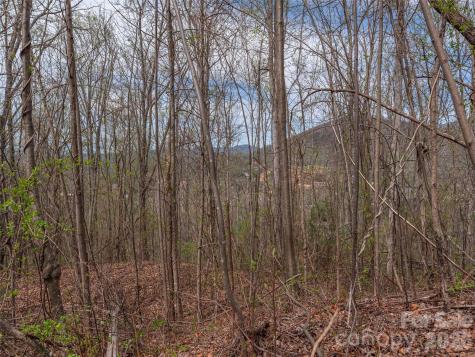 137 & 145 Cedar Mountain Road Asheville NC 28803