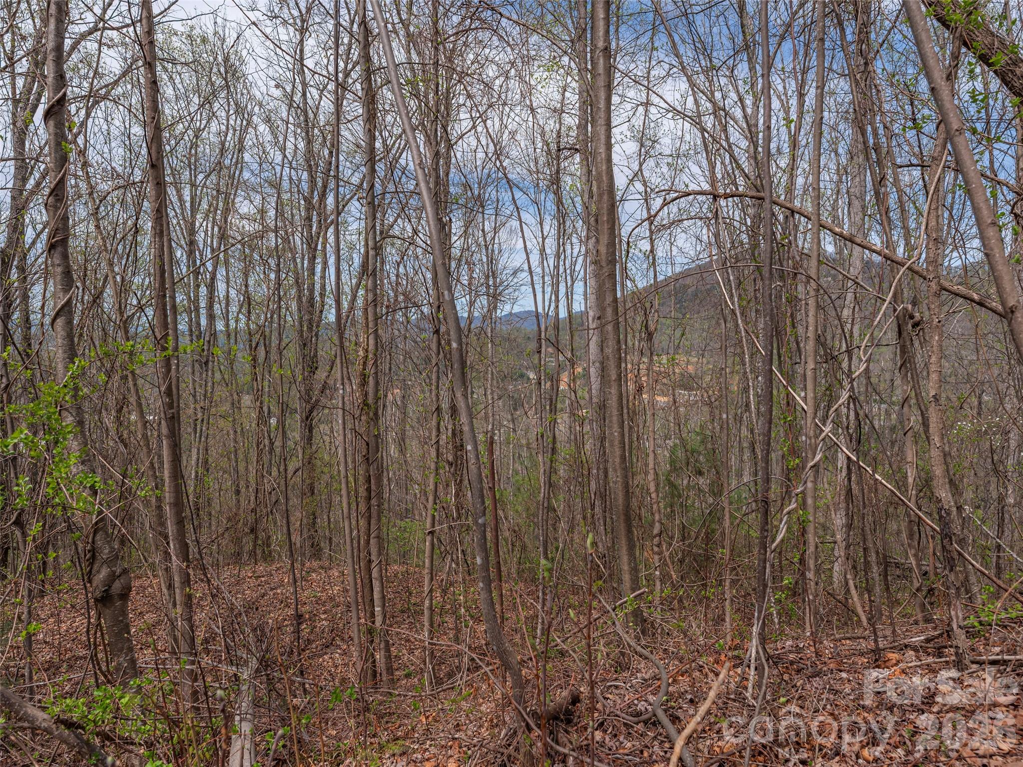 137 & 145 Cedar Mountain Road Asheville NC 28803