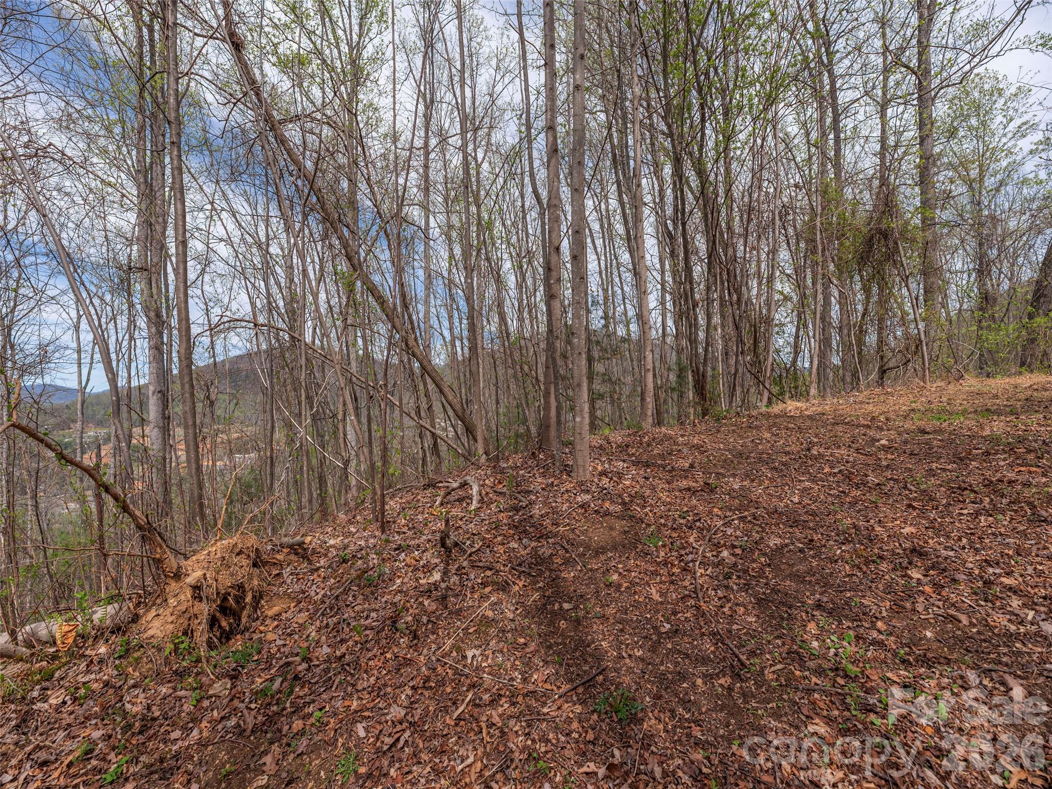 137 & 145 Cedar Mountain Road Asheville NC 28803
