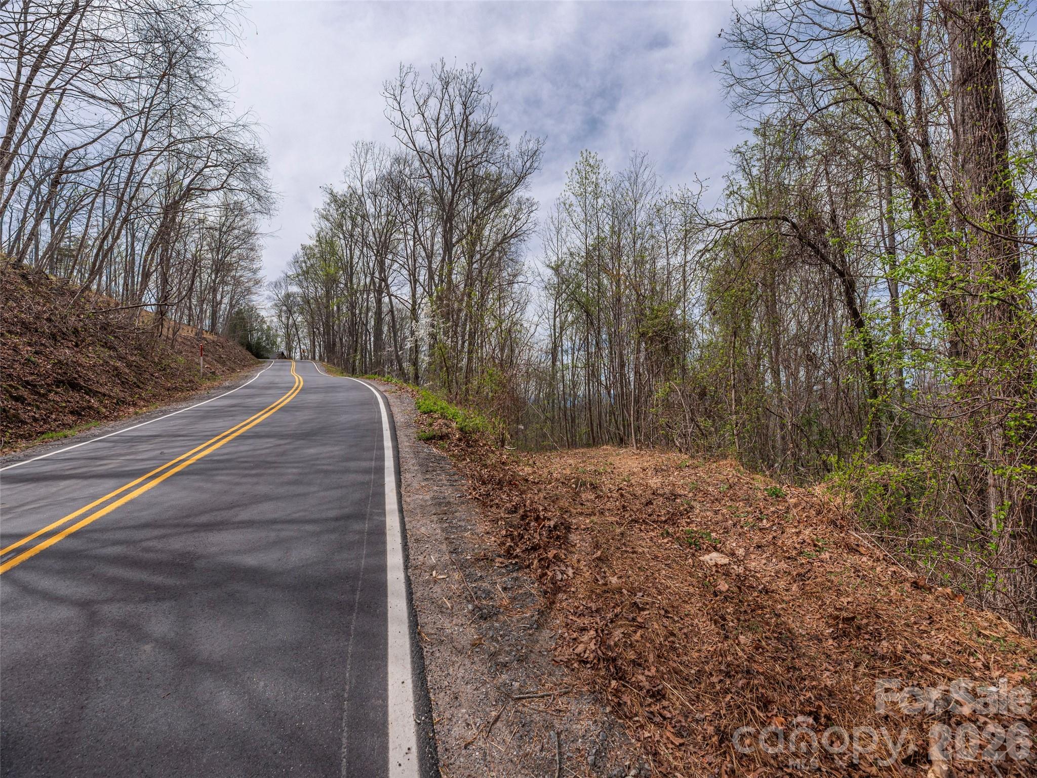 137 & 145 Cedar Mountain Road Asheville NC 28803